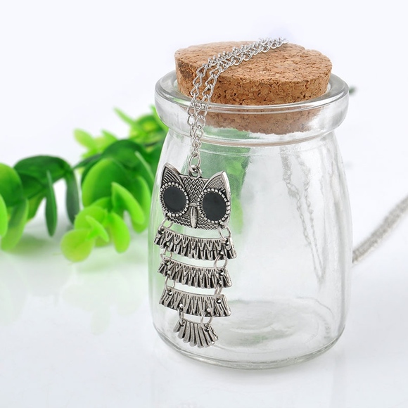 Silver Detail Owl Chain Pendant Necklace - Picture 2 of 6